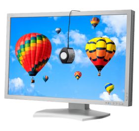 NEC PA302W Monitor