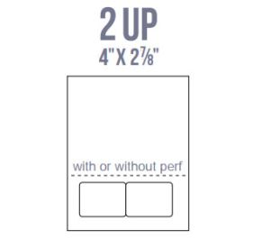 BCI IL12-P Labels