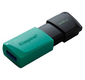 Kingston DTXM/256GB Accessory