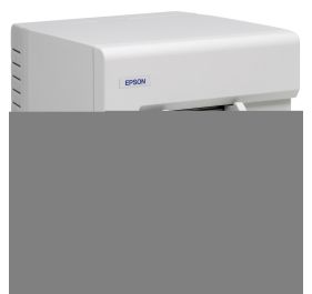 Epson C31CA84021 Products