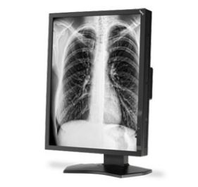 NEC MD211G3 Products