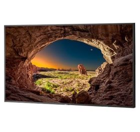 NEC V554-PC3 Monitor