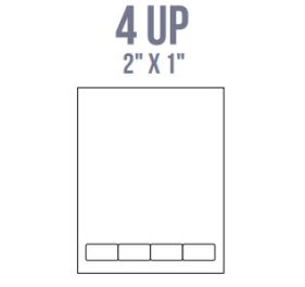 BCI IL11 Labels