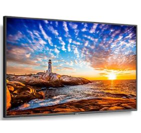 NEC P495 Media Player