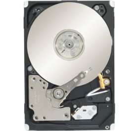 Seagate ST91000640NS Drive