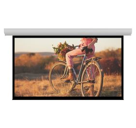 Da-Lite 37571LS Products