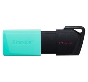 Kingston DTXM/256GB Accessory