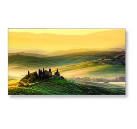 NEC X431BT Digital Signage Display
