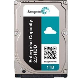 Seagate ST1000NX0313 Drive