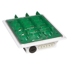 Ruckus 901-T301-WW51 Wireless Access Points