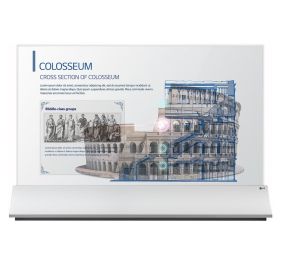 LG 55EW5PG-S Digital Signage Display