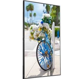 NEC C431 Monitor