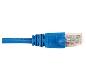 Black Box CAT5EPC-002-BL-10PAK Products