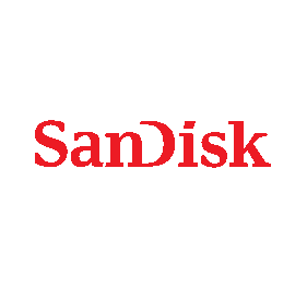 SanDisk SD9TB8W-1T00-1122 Drive