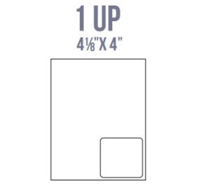 BCI IL13 Labels