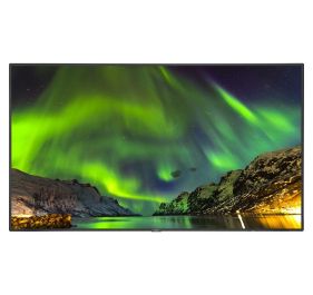 NEC C651Q Monitor