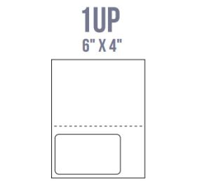 BCI IL14-P Labels