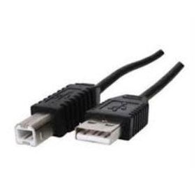 Epson 011028A Cables, Connectors, and Adapters