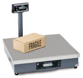 Brecknell 9503-16279 Scale