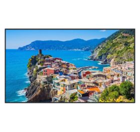 Panasonic TH-65EQ2W Monitor