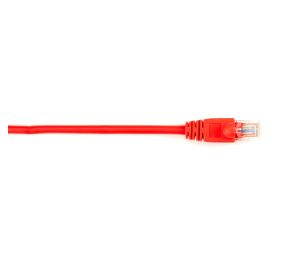Black Box CAT5EPC-003-RD-25PAK Products
