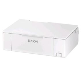 Epson C11CE84201 Laser Printer