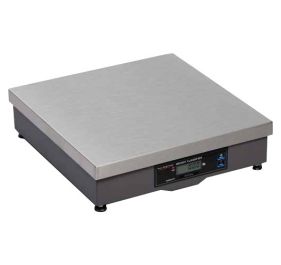 Brecknell AWT05-508656 Scale
