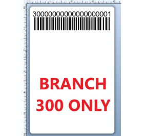 BCI DEXTER-4X6-LPN-300 Barcode Label