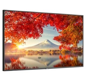 NEC MA551-MPI4E Customer Display