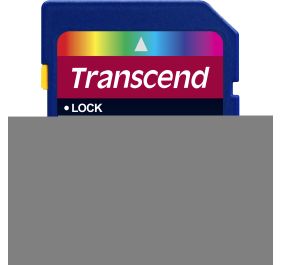 Transcend TS64GSDXC10 Products