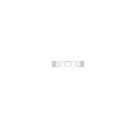SMARTRAC 3001962 RFID Inlay