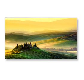 NEC X555UNS-TMX4P Digital Signage Display