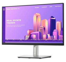 Dell DELL-P2422H Monitor