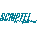Scriptel ST1580 ProScript Signature Pad