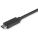StarTech HB31C2A1CGB Accessory