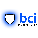 BCI RC102-20-PDF-I RFID Wristband