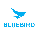 Bluebird BI-300 Accessory