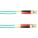 Black Box FOCMR10-010M-LCLC-GN Accessory