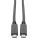 Tripp-Lite U420-C06 Cables, Connectors, and Adapters