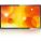 Philips 55BDL3010Q Monitor