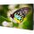 NEC UN552 Digital Signage Display