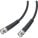 Black Box ETN59-0050-BNC Accessory