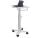 Ergotron SV10-1400-0 Mobile Cart