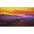 NEC X554UNV Digital Signage Display