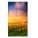 NEC X555UNS Digital Signage Display