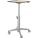 Ergotron 24-811-F13 Mobile Cart