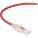 Black Box C6PC28-RD-20 Accessory
