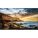 Samsung QE50T Digital Signage Display