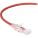 Black Box C6APC28-RD-07 Accessory