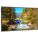 NEC E705-AVT Digital Signage Display